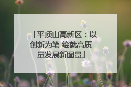 平顶山高新区：以创新为笔 绘就高质量发展新图景